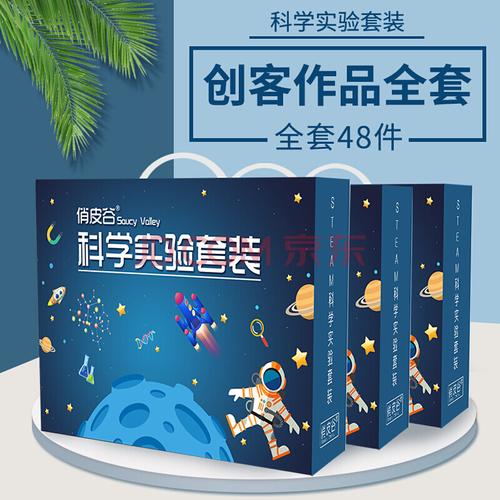 小學生科學實驗器材套裝玩具兒童手工盒子小制作全幼兒園禮物 創(chuàng)客