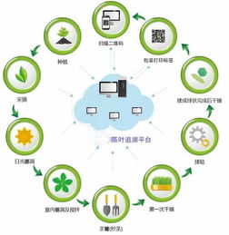 茶葉生長管理系統(tǒng)定制開發(fā)